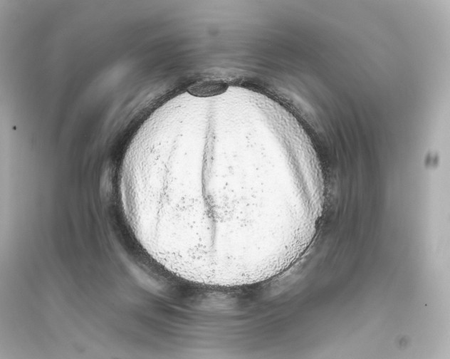 X0000093750166200711131133