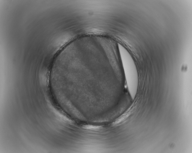 X0000093750168200711131133