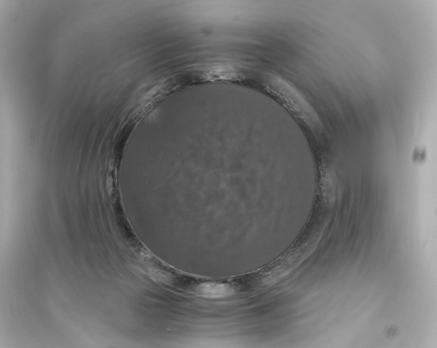 X0000093750169200711131133