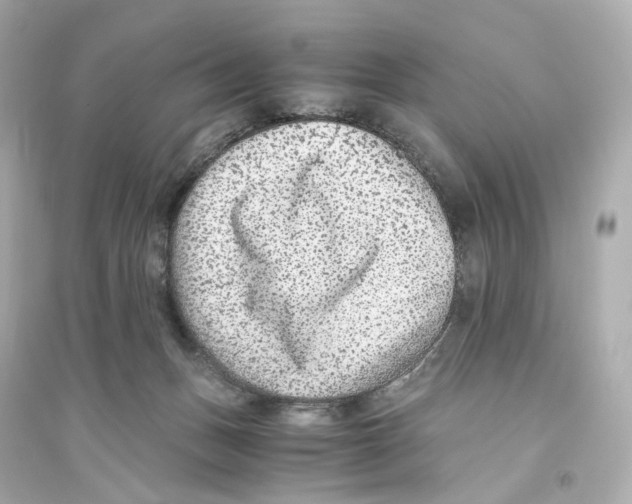 X0000093750175200711131133