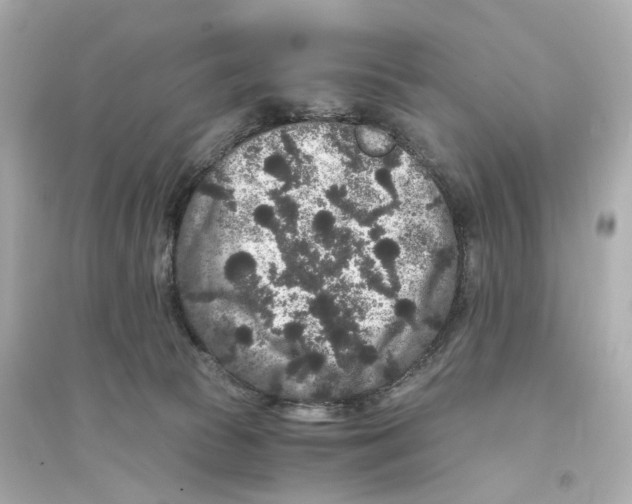 X0000093750177200711131133