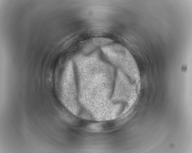 X0000093750178200711131133