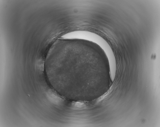 X0000093750180200711131133