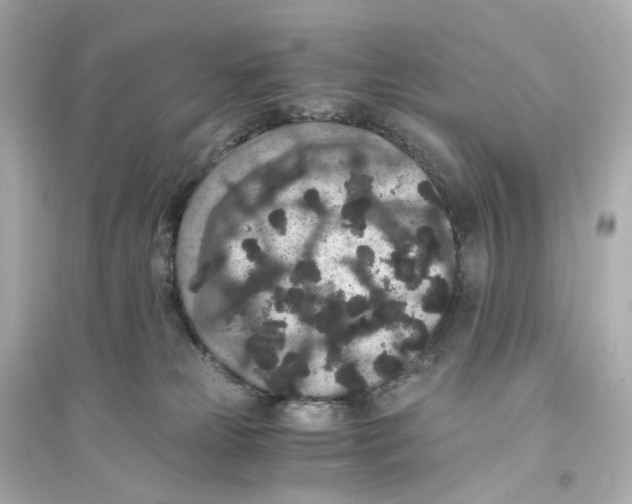 X0000093750181200711131133