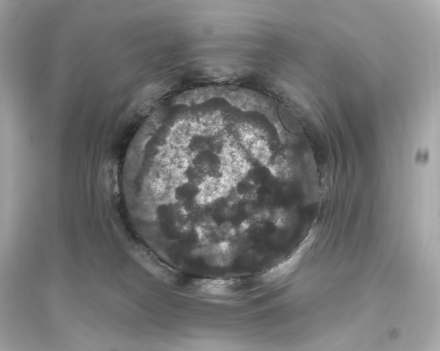 X0000093750182200711131133