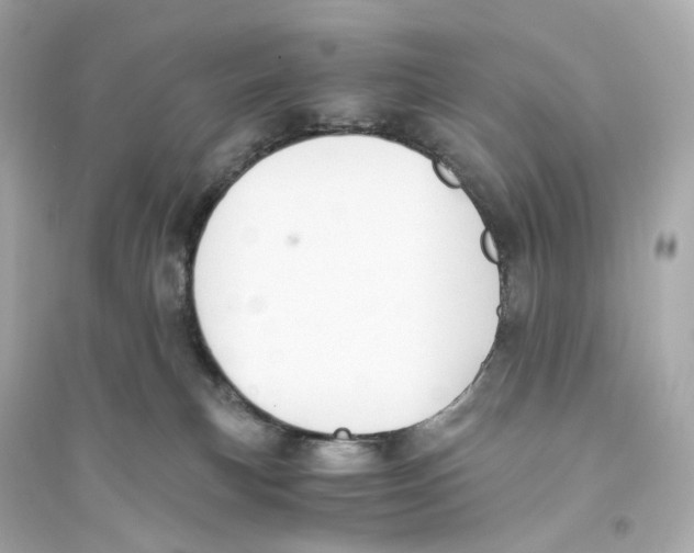 X0000093750183200711131133