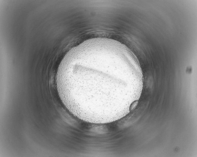 X0000093750185200711131133