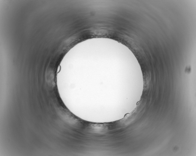 X0000093750187200711131133