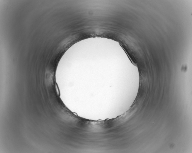 X0000093750188200711131133