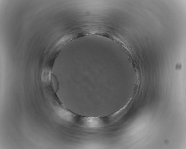 X0000093750191200711131133