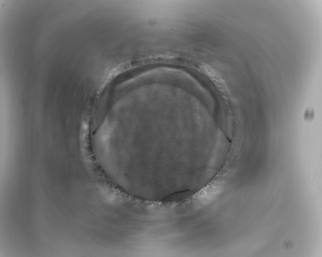 X0000093750192200711131133