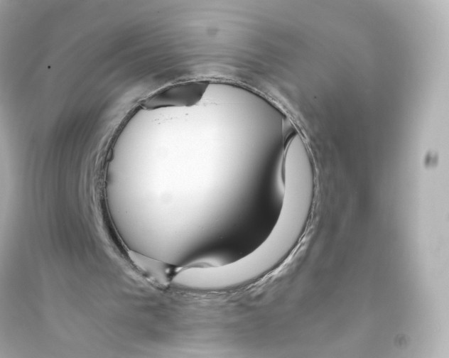 X0000093750193200711131133