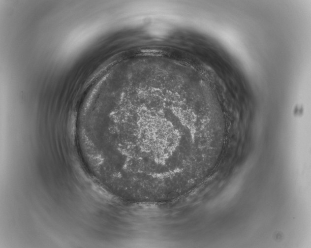 X0000093750194200711131133