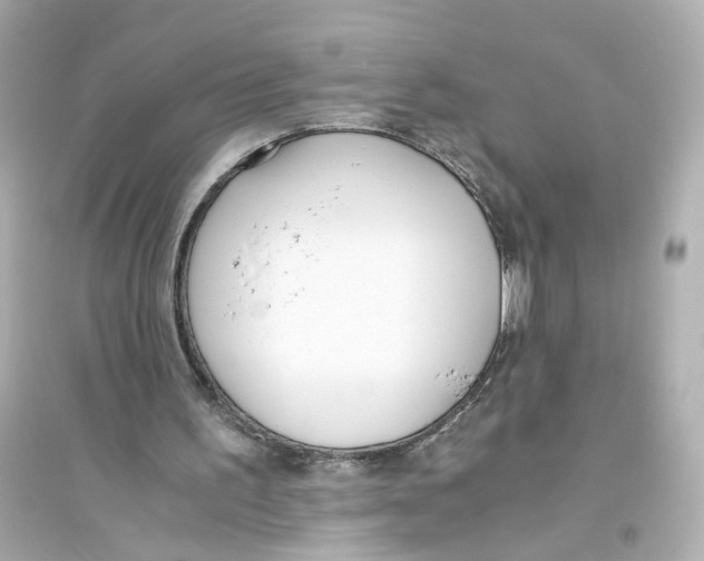 X0000093750195200711131133