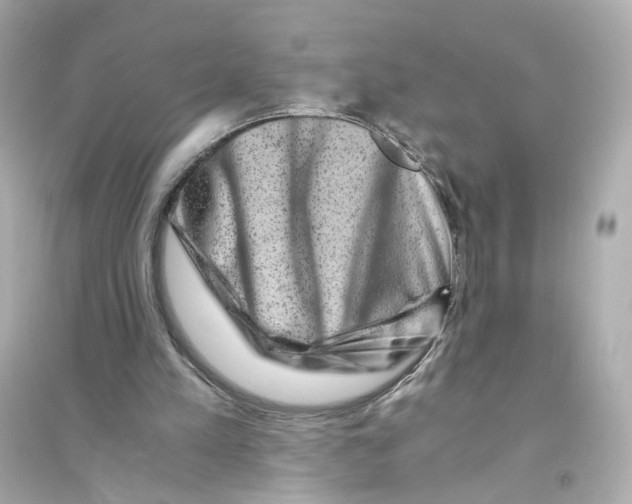 X0000093750197200711131133