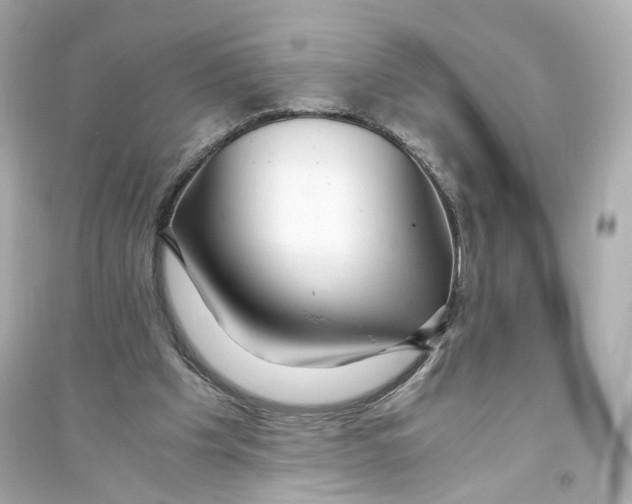 X0000093750201200711131133