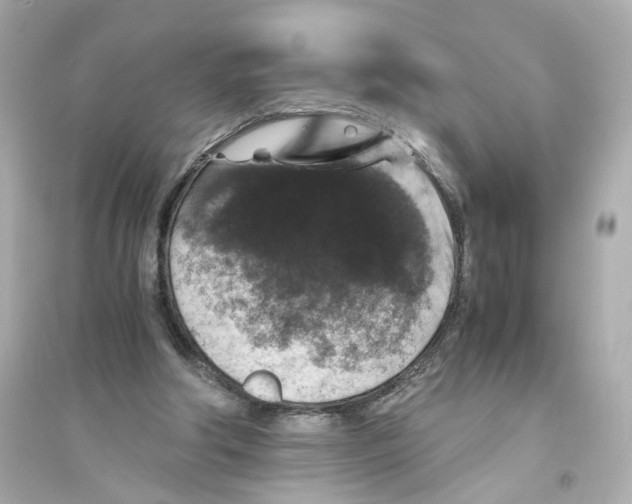 X0000093750202200711131133