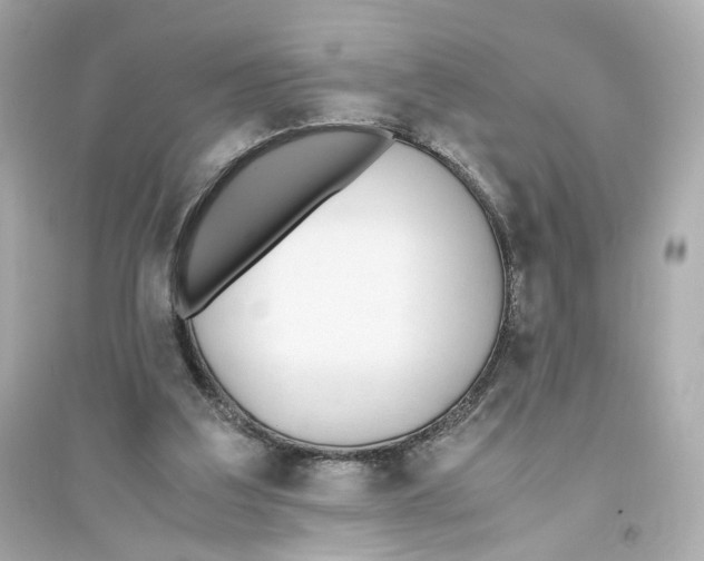 X0000093750203200711131133