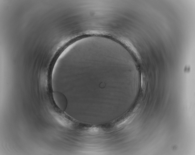 X0000093750204200711131133