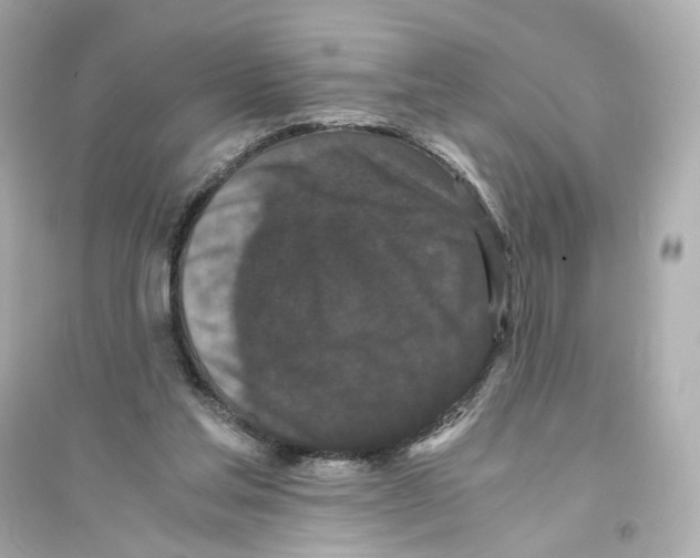 X0000093750205200711131133