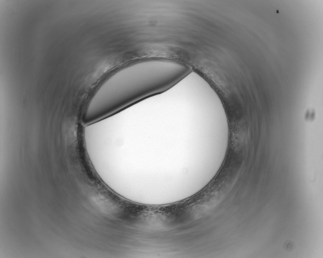 X0000093750207200711131133