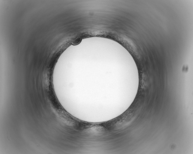 X0000093750210200711131133