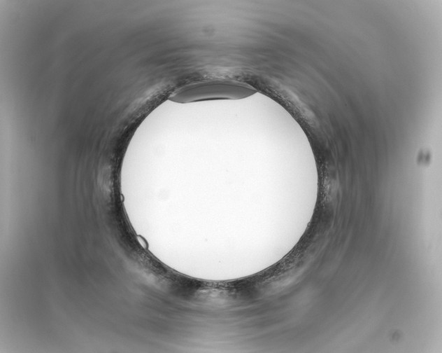 X0000093750211200711131133