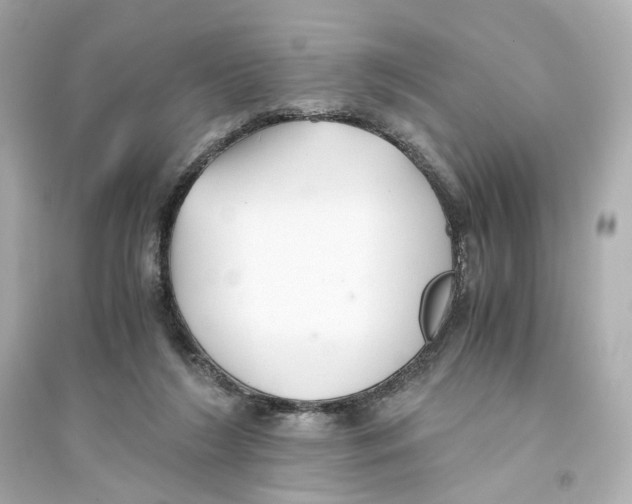 X0000093750212200711131132