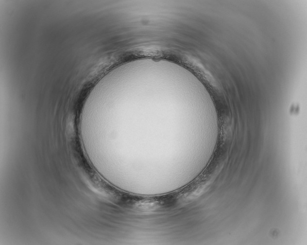 X0000093750213200711131132