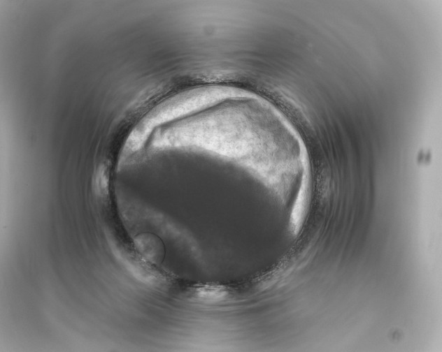 X0000093750214200711131132