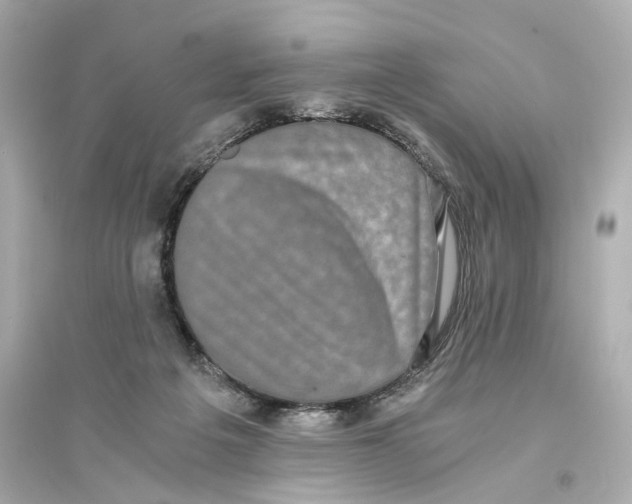 X0000093750217200711131132