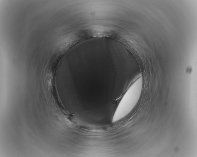 X0000093750219200711131132