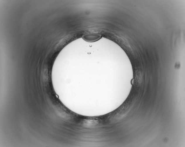 X0000093750220200711131132