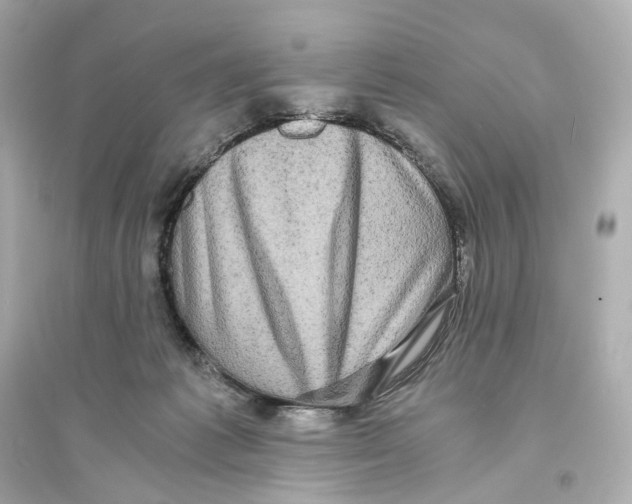 X0000093750221200711131132