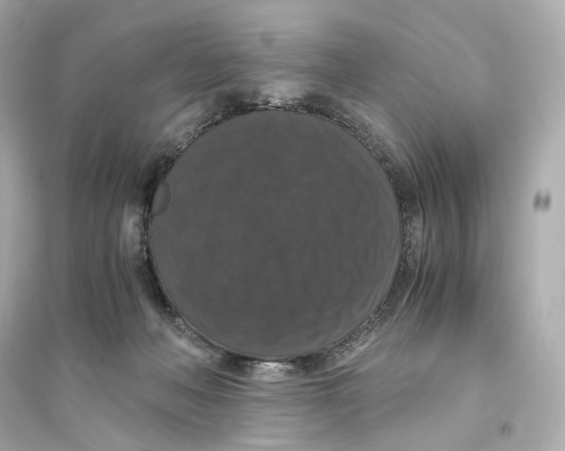 X0000093750222200711131132