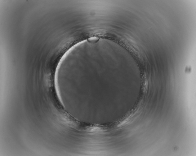 X0000093750224200711131132