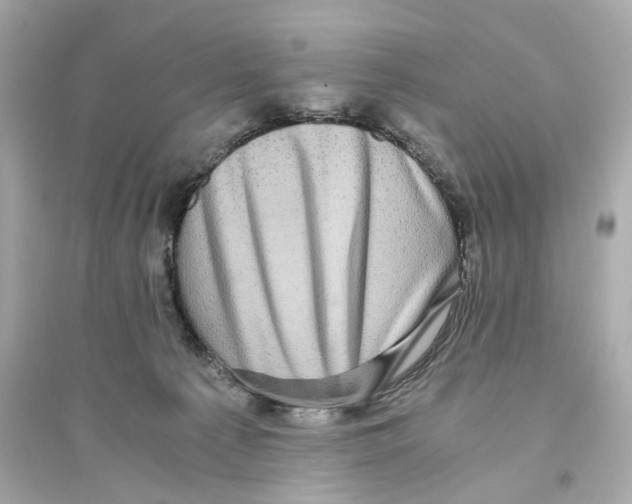 X0000093750225200711131132