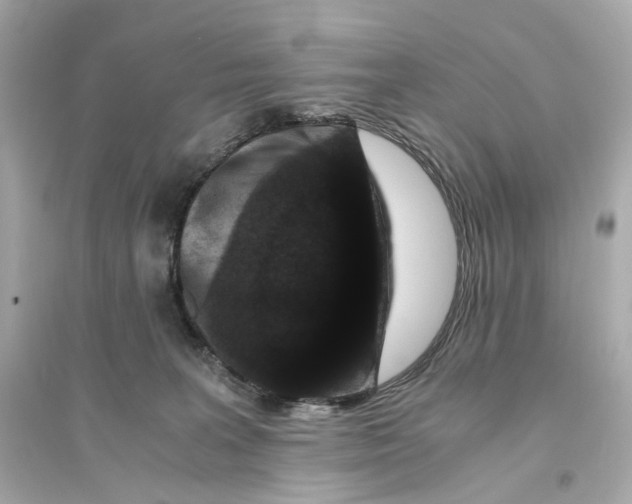 X0000093750227200711131132