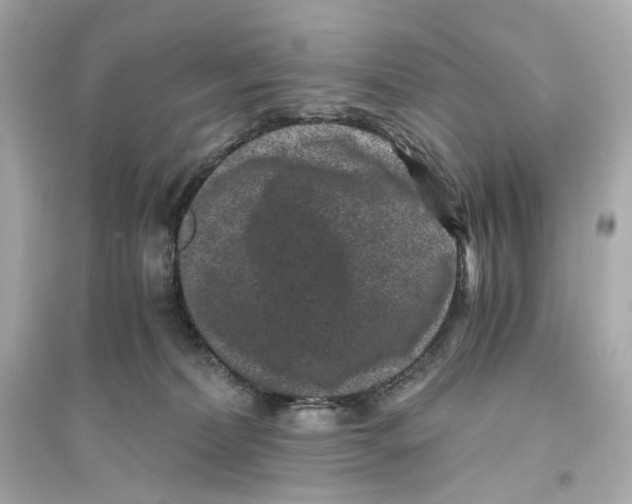 X0000093750228200711131132