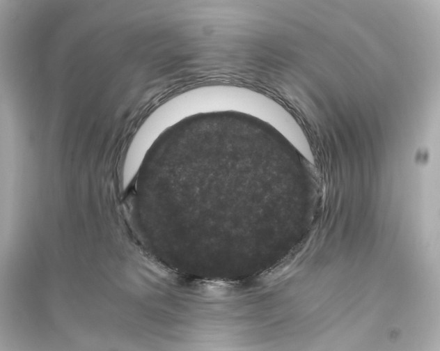 X0000093750229200711131132