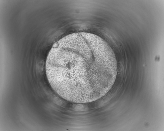 X0000093750230200711131132