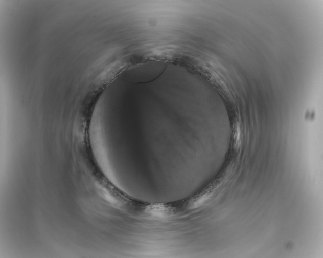 X0000093750231200711131132