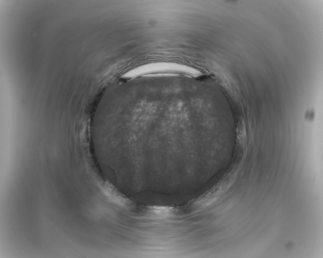 X0000093750233200711131132