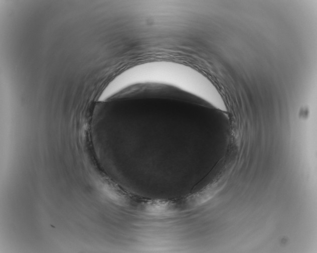 X0000093750235200711131132