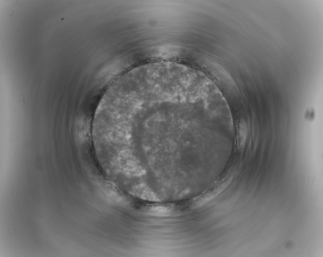 X0000093750236200711131132