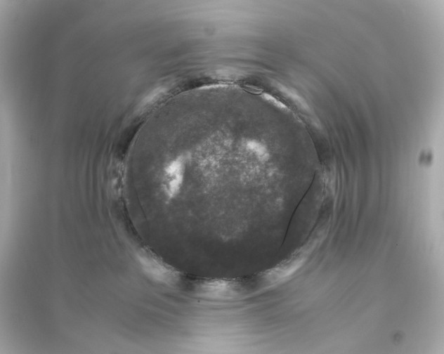 X0000093750237200711131132