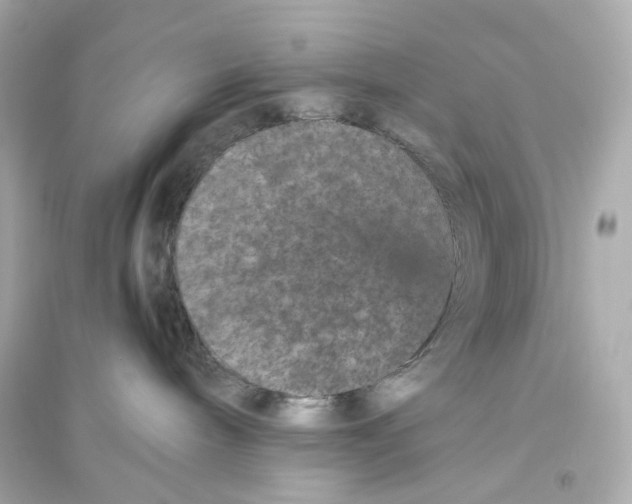 X0000093750240200711131132