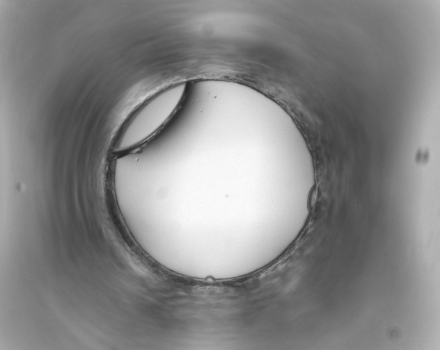 X0000093750242200711131131