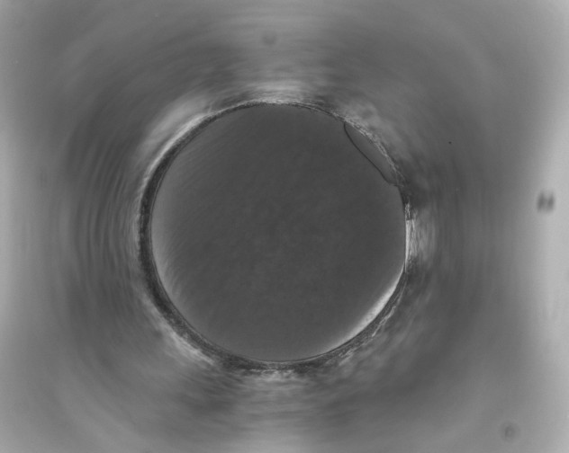 X0000093750243200711131131