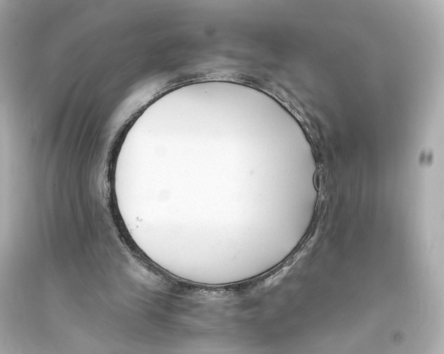 X0000093750245200711131131